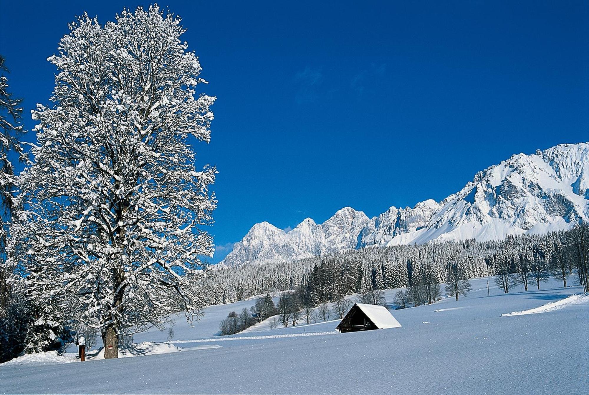 Bio-Holzhaus Und Landhaus Heimat 람자우 암 다흐스타인 외부 사진