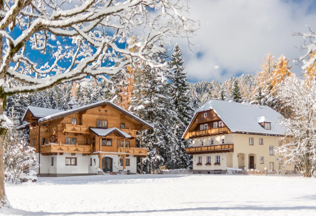 람자우 암 다흐스타인 Bio-Holzhaus Und Landhaus Heimat 아파트 외부 사진