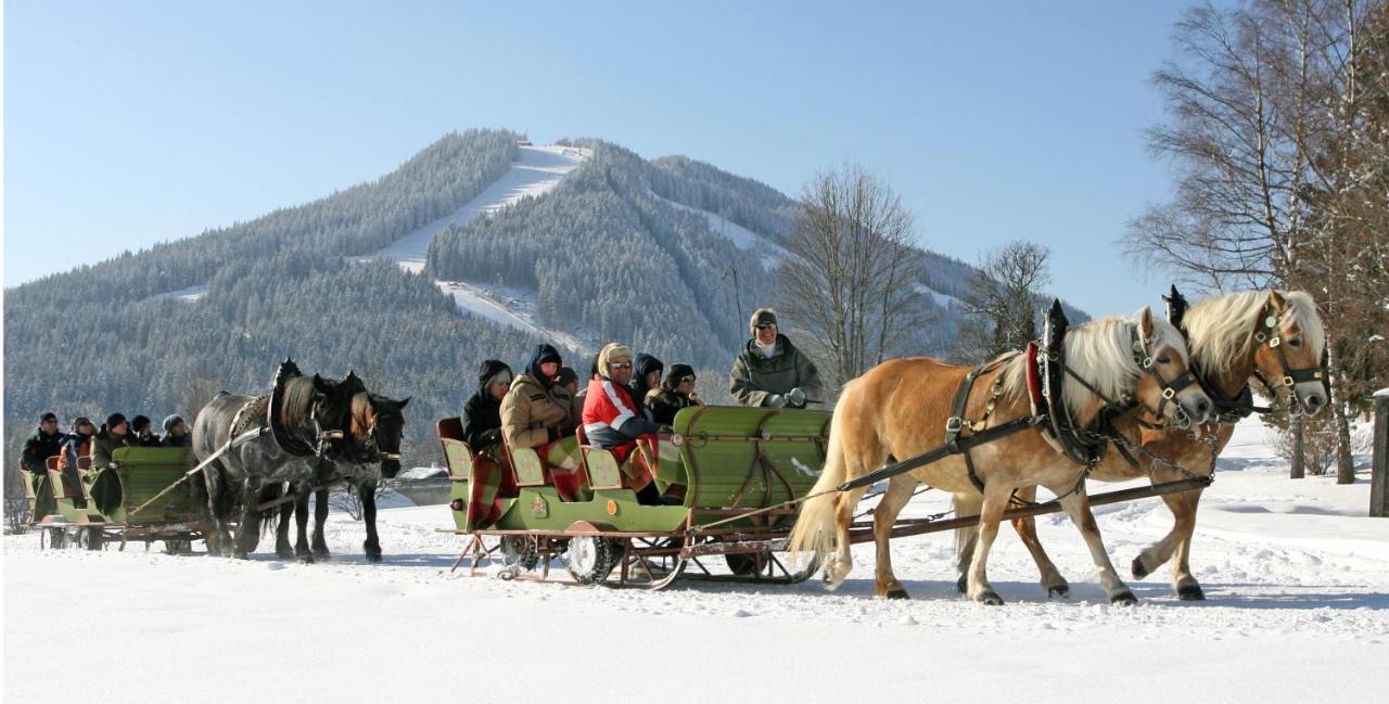 Bio-Holzhaus Und Landhaus Heimat 람자우 암 다흐스타인 외부 사진